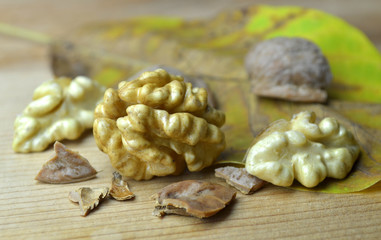 Fresh Walnut autumn time