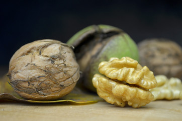 Fresh Walnut autumn time