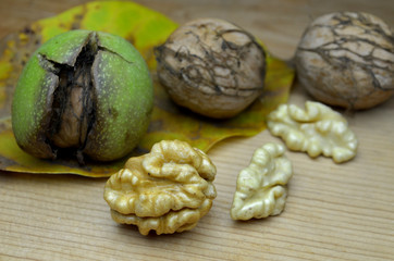 Fresh Walnut autumn time