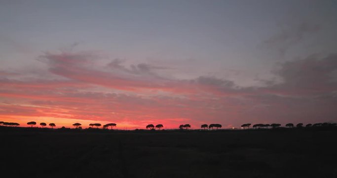 Tramonto rosso fuoco dietro delle siepi