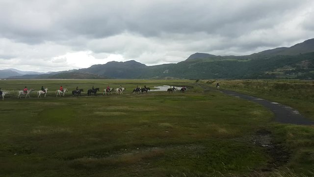 Welsh mountain pony trekking and horse riding in Fairbourne, Wales.