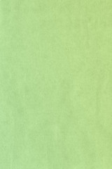 Fototapeta premium green background with texture