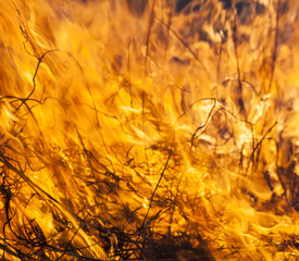 Big fire in the field