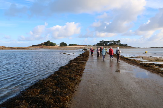 Route menant vers l'île Callot, à Carantec, en Bretagne, avec un groupe de randonneurs (France)