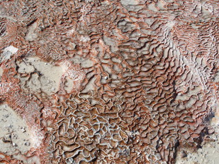 cotton castle travertines