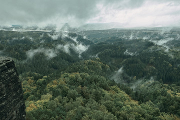 Sandstone rock tower in the deep autumn valley of national park Bohemian Switzerland. Misty landscape with fir forest in hipster vintage retro style