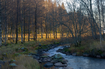 Peaceful river scene