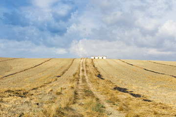 Fototapeta na wymiar Camino rural cuesta arriba entre campos de trigo cosechado, una casa sobre la colina