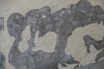 Feuchte Wand