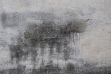 Feuchte Wand