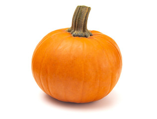 Naklejka premium Perfect Pumpkin For Making into a Pie