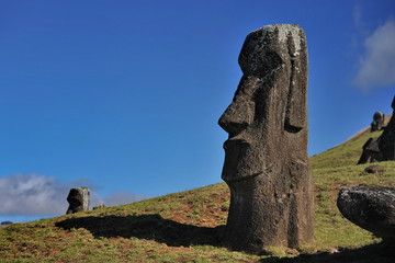 Chile. Easter Island. Traveling around the island you can meet everywhere huge statues carved out...