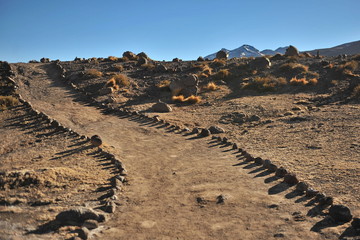 Fototapeta na wymiar Chile. Valley of Geysers in the Atacama Desert.