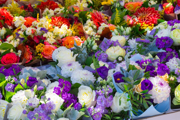 Background from a set of beautiful fresh color bouquets for the wedding and a holiday which are densely standing nearby. The field from flowers of dahlias in solar beams