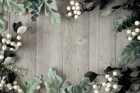 Frame of silver green leaves and white berries over a rustic gray wood background. Top view with copy space.