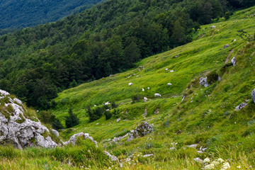 Fototapeta na wymiar Gran Sasso mountains chain, Prati di Tivo, Teramo Province, Abruzzo Region, Italy