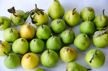 Pears on white background