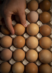 Brown eggs in carton box, Broken egg with yolk in background