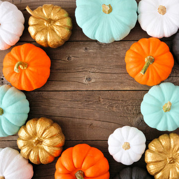 Autumn square frame of various colorful pumpkins on a rustic wood background. Top view with copy space.