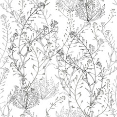 Obraz premium Seamless pattern with shepherd's purse. Monochrome vector illustration. Silhouette and outline drawing on a white background.