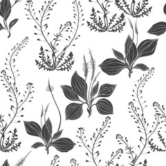 Seamless pattern with shepherd's purse and plantain. Monochrome vector silhouettes on a white background.