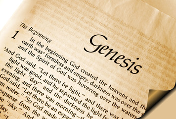 Open page in the bible showing Genesis Chapter one verse one - In the Beginning
