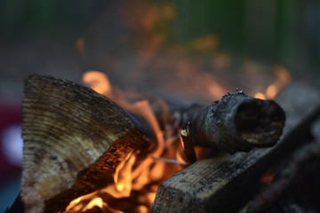 log and fire on the blurred background