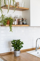 Modern white kitchen scandinavian style