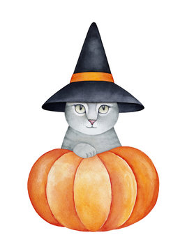Portrait of cozy kitty character dressed in huge witch hat, sitting inside bright beautiful pumpkin. Handdrawn watercolour graphic painting on white background, cutout clip art element for decoration.