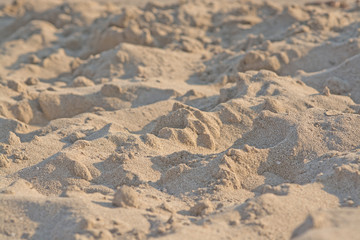 Sandy beach grains macro closeup