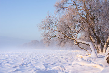 Natural winter landscape with snowy trees on lake shore on clear evening. Christmas background