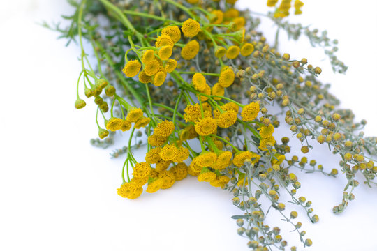 Healing herbs. Medicinal plants and flowers bouquet of wormwood, tansy. Flowering absinthium. Medicinal plant on a white background. Background blur