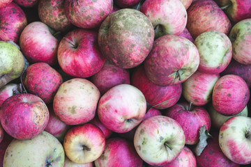 Top view of a box full of red organic farm apples with spots. Healthy organically grown food concept