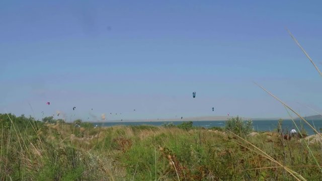View of green grass firth and kites over it