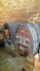 wine cellar in Strasbourg, France