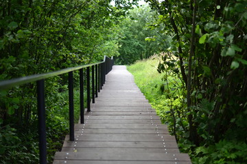 Obraz premium wooden bridge in forest