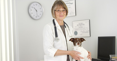 Healthy dog with female professional veterinarian doctor