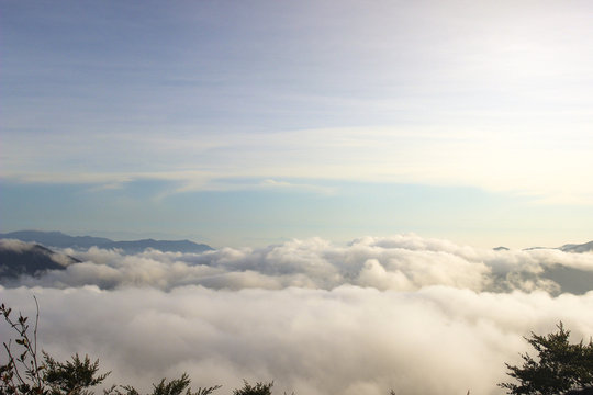 Irau Mountain,Cameron Highland,Malaysia top above with cloud at Morning Light. Soft Focus,Blur due to Long Exposure. Visible Noise due to High ISO.