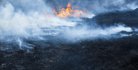 Big fire in the field.