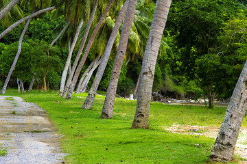 The beach Bang Boet and green nature