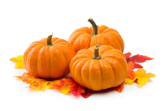 Fresh orange miniature pumpkins with dry autumn leaves isolated on white background