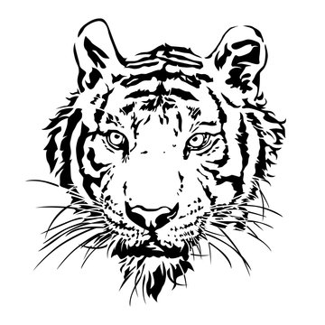 Tiger head silhouette, Vector illustration and design.