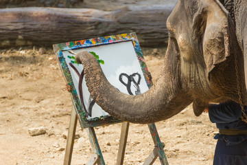 Fototapeta premium Elephant painting in picture tree frame at The Thai Elephant Conservation Center (TECC), Mahouts show how to train elephant in forestry industry