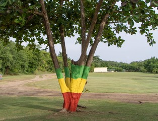 Grenada Flag Colour painted on a tree