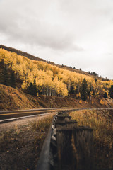 A mountain road surrounded by fall foliage. 