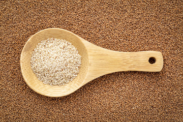 brown and ivory teff grain