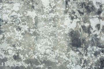 mildewed wall background