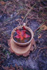 Autumn leaves and hot steaming cup of herbal tea with red leave on wooden stand. Fall season,...