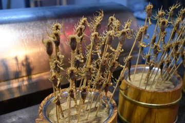 pinched fried scorpions 