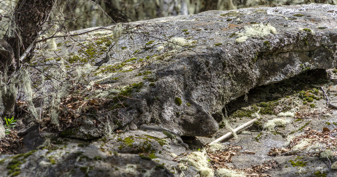 Stone texture on South of Chile